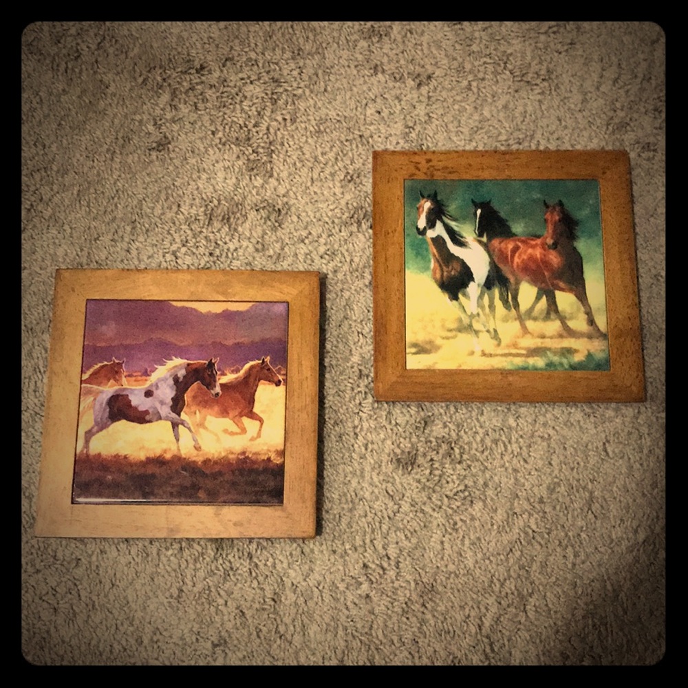 2 piece horse pictures